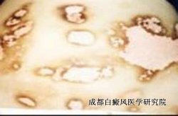  ɶưЧ
